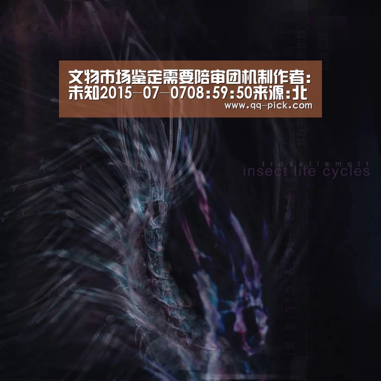 网球